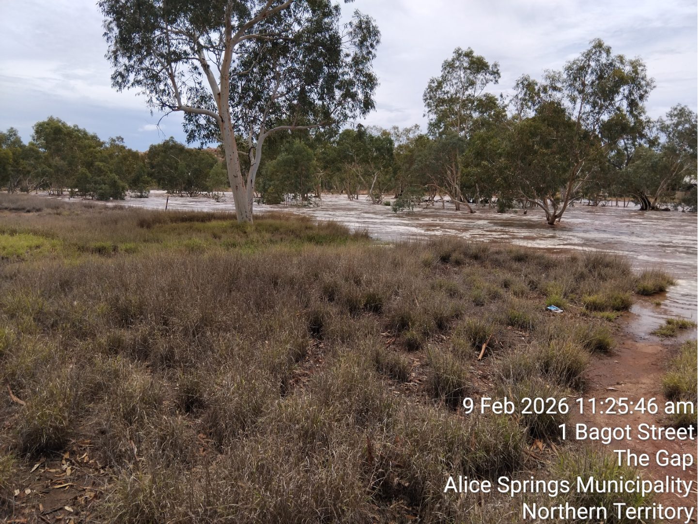 Alice Springs